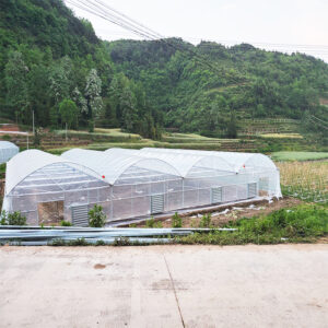 Tunnel Greenhouse