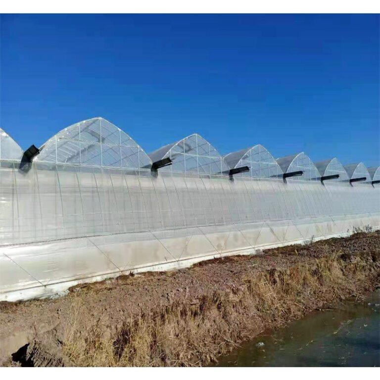 Poly Tunnel Greenhouses Multispan film Greenhouse