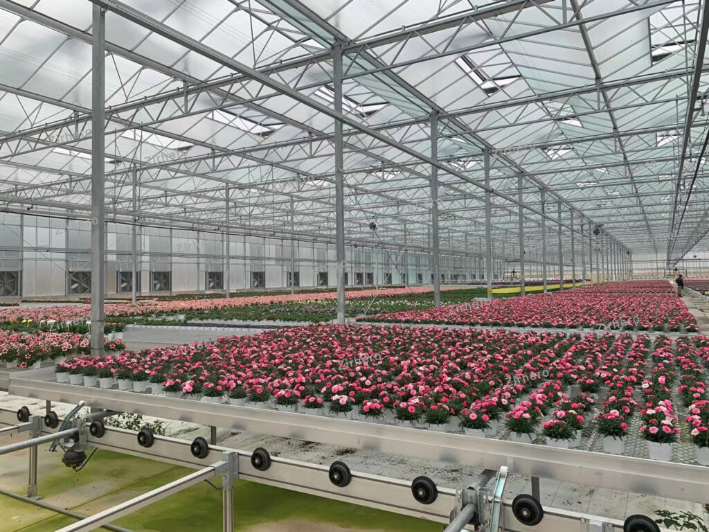 Glass Venlo Greenhouse Zirhero