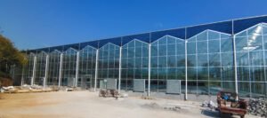 Glass Greenhouse