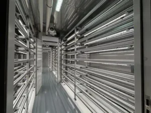 A vertical hydroponic growing system inside a shipping container, featuring stacked rows of vibrant green wheatgrass under bright LED grow lights, with nutrient-rich water tubes running vertically to nourish the plants