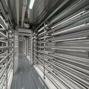 A vertical hydroponic growing system inside a shipping container, featuring stacked rows of vibrant green wheatgrass under bright LED grow lights, with nutrient-rich water tubes running vertically to nourish the plants