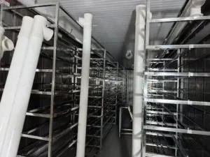 A vertical hydroponic growing system inside a shipping container, featuring stacked rows of lush, green fresh grass under bright LED grow lights, with nutrient-rich water tubes running vertically to nourish the plants.