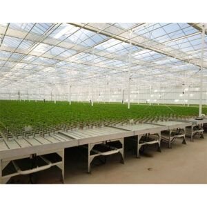 Venlo-Glass-Polycarbonate-Greenhouse