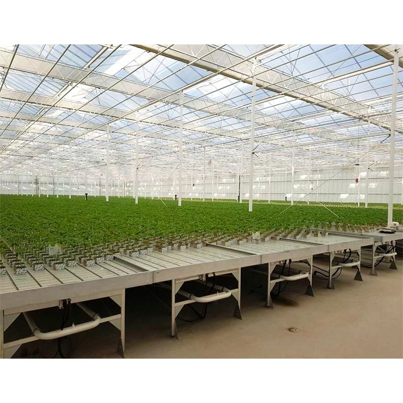 Venlo-Glass-Polycarbonate-Greenhouse