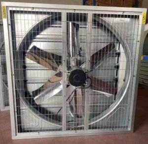 Industrial exhaust fans installed in a modern poultry farm for effective ventilation and temperature control.