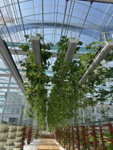 Advanced vertical farming equipment from a trusted long-term supplier, featuring IoT sensors, LED grow lights, and customizable modular systems for efficient crop production.