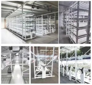 Sturdy, multi-level metal benches inside a greenhouse, with adjustable shelves holding a variety of potted plants. The vertical design maximizes growing space, and the open-mesh shelving allows for optimal light, air, and water drainage. The background shows the translucent walls and framework of the greenhouse.