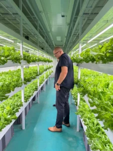 Custom-designed hydroponic system inside a shipping container farm, showcasing vertical growing racks and LED lighting.