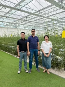Greenhouse Project Partnerships
