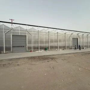 A polycarbonate greenhouse with transparent panels stands in a garden, filled with rows of green plants and vegetables. The structure has a metal frame and a sloped roof, allowing sunlight to filter through the clear walls, creating a bright interior.
