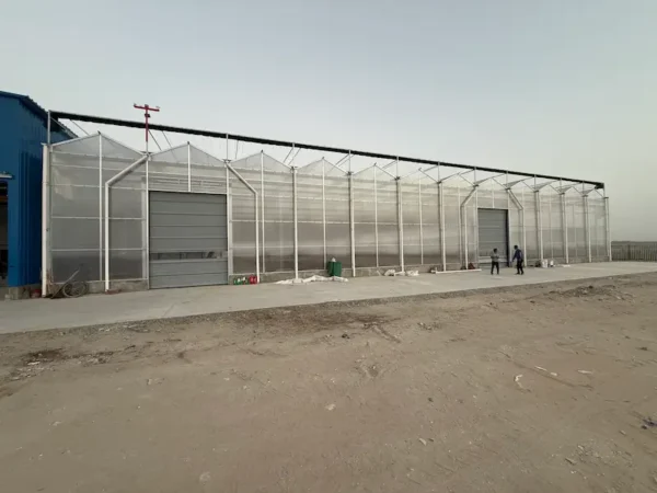 A polycarbonate greenhouse with transparent panels stands in a garden, filled with rows of green plants and vegetables. The structure has a metal frame and a sloped roof, allowing sunlight to filter through the clear walls, creating a bright interior.