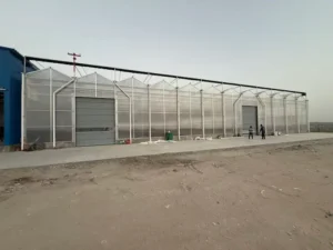 Commercial greenhouse manufacturer showcasing multi-span structure design and engineering expertise.