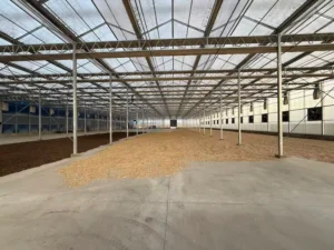 Durable polycarbonate greenhouse with high-impact resistance for extreme weather conditions.