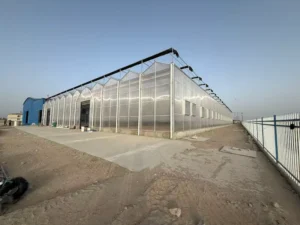 Polycarbonate Drying Greenhouse