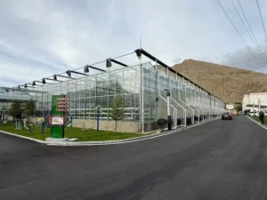 Commercial Venlo-style greenhouse with glass and polycarbonate structure designed for year-round vegetable and flower production by Zirhero.