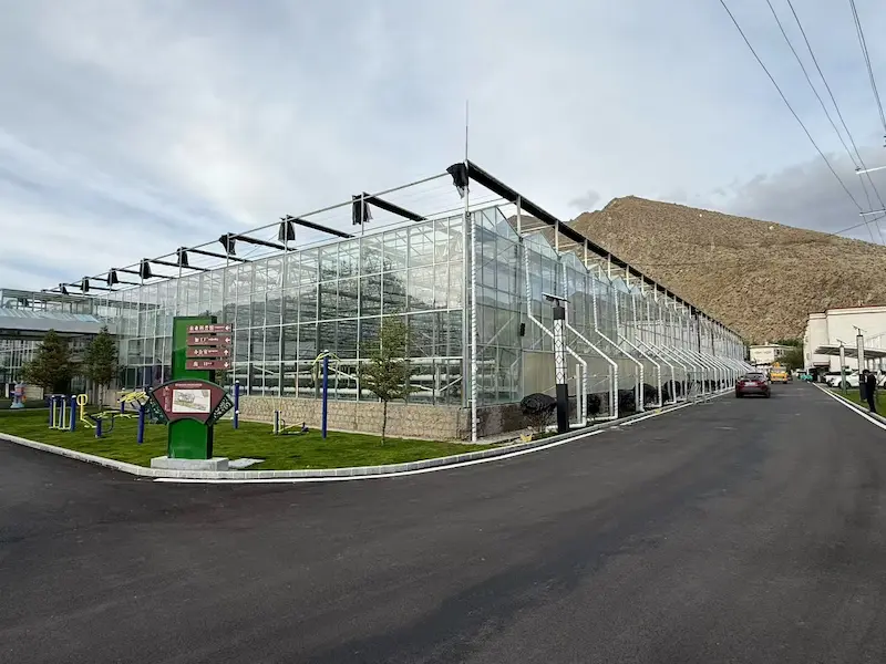 Commercial Venlo-style greenhouse with glass and polycarbonate structure designed for year-round vegetable and flower production by Zirhero.