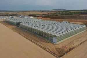 Zirhero modern greenhouse designed for year-round crop production with high light transmission and controlled climate technology.